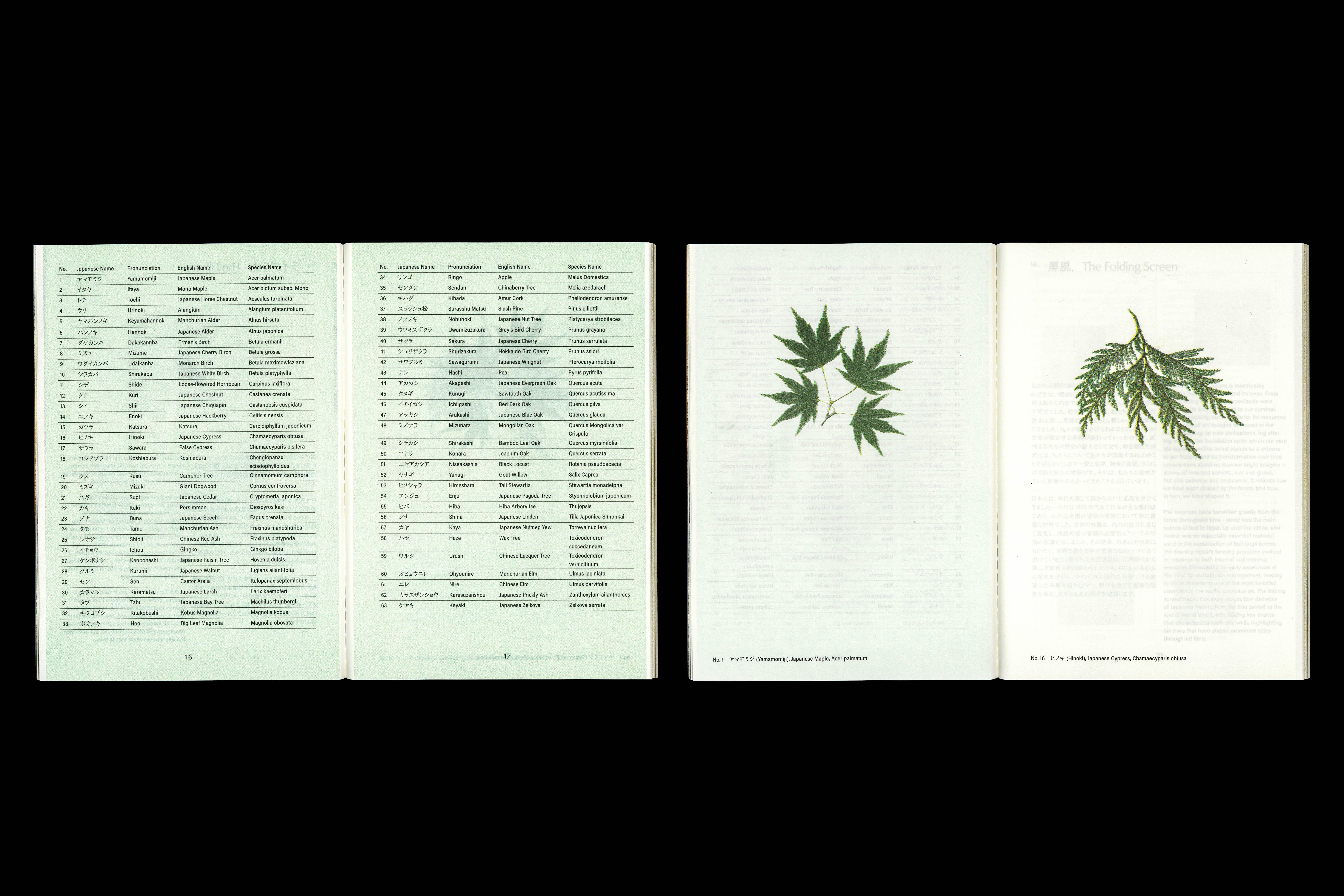 873 The Age of Wood (exhibition booklet), for Christian+Jade and Karimoku Research